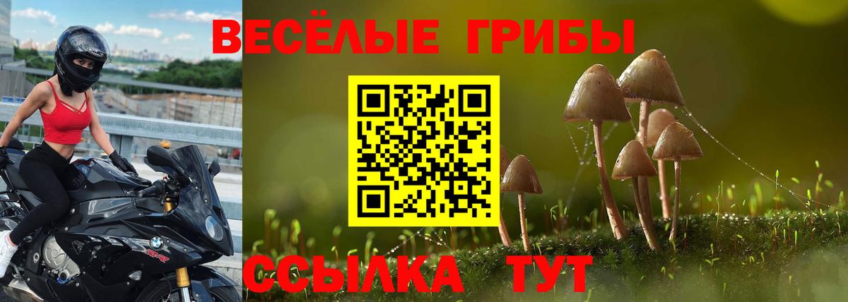 Калач-на-Дону  Псилоцибиновые грибы Psilocybe  Вход с VPN 
